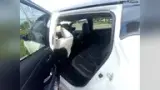 Nissan Leaf - Miniatura 6