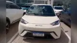 BYD Dolphin Mini - Miniatura 1