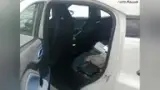 BYD Dolphin Mini - Miniatura 8