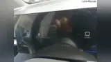 BYD Dolphin Mini - Miniatura 10