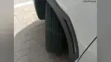 BYD Dolphin Mini - Miniatura 16