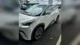 BYD Dolphin Mini - Miniatura 1