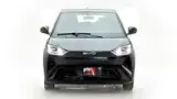 BYD Dolphin Mini - Miniatura 1