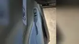 BYD Dolphin Mini - Miniatura 14