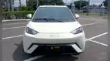 BYD Dolphin Mini - Miniatura 2