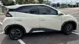 BYD Dolphin Mini - Miniatura 5