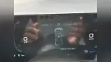 BYD Dolphin Mini - Miniatura 15