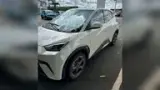 BYD Dolphin Mini - Miniatura 1