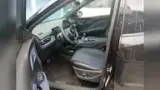 BYD Dolphin Mini - Miniatura 3