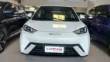 BYD Dolphin Mini - Miniatura 1