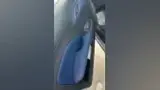BYD Dolphin Mini - Miniatura 5