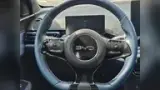 BYD Dolphin Mini - Miniatura 2