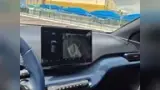 BYD Dolphin Mini - Miniatura 5