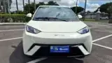 BYD Dolphin Mini - Miniatura 12