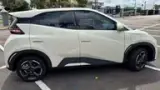 BYD Dolphin Mini - Miniatura 13