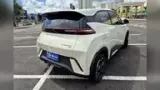 BYD Dolphin Mini - Miniatura 15