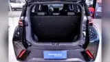BYD Dolphin Mini - Miniatura 11