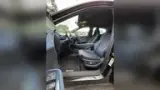 BYD Dolphin Mini - Miniatura 9