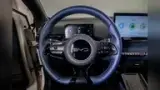 BYD Dolphin Mini - Miniatura 15