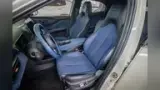 BYD Dolphin Mini - Miniatura 19