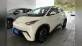 BYD Dolphin Mini - Miniatura 1