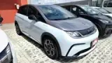 BYD Dolphin Plus - Miniatura 2