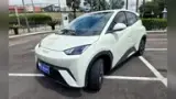 BYD Dolphin Mini - Miniatura 1