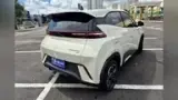 BYD Dolphin Mini - Miniatura 2