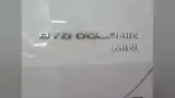 BYD Dolphin Mini - Miniatura 14