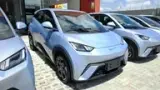 BYD Dolphin Mini - Miniatura 2