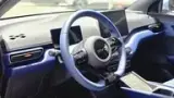 BYD Dolphin Mini - Miniatura 9