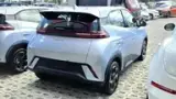 BYD Dolphin Mini - Miniatura 8