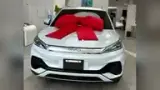 BYD Yuan Plus - Miniatura 1