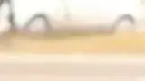 BYD Dolphin Mini - Miniatura 2