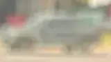BYD Dolphin Mini - Miniatura 4