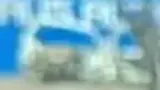 BYD Dolphin Mini - Miniatura 6