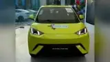 BYD Dolphin Mini - Miniatura 2