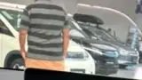 BYD Dolphin Mini - Miniatura 11