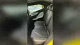 BYD Dolphin Mini - Miniatura 13
