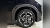 BYD Dolphin Mini - Miniatura 10