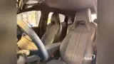 BYD Dolphin Mini - Miniatura 11