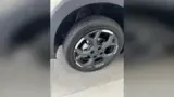 BYD Dolphin Mini - Miniatura 6