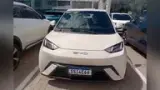 BYD Dolphin Mini - Miniatura 1