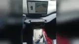 BYD Dolphin Mini - Miniatura 4