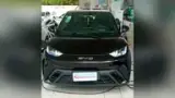 BYD Dolphin Mini - Miniatura 1