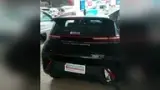 BYD Dolphin Mini - Miniatura 5