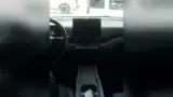BYD Dolphin Mini - Miniatura 7
