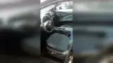 BYD Dolphin Mini - Miniatura 9