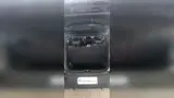 BYD Dolphin Mini - Miniatura 13