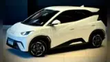 BYD Dolphin Mini - Miniatura 1